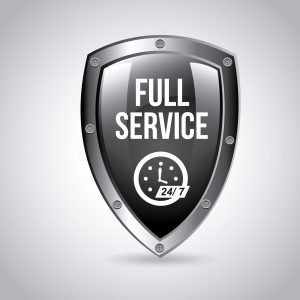 Silver security consulting